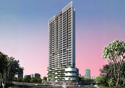 Admire 19 The Pinnacle