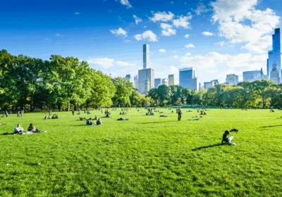 The Hillfront Atul Projects