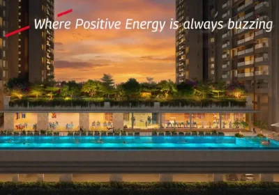 Mahindra rainforest (5)